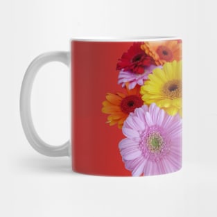 Gerberas Floral Photo Mug